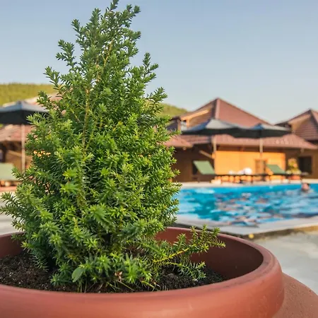 Tatil Evi Kedar Selo